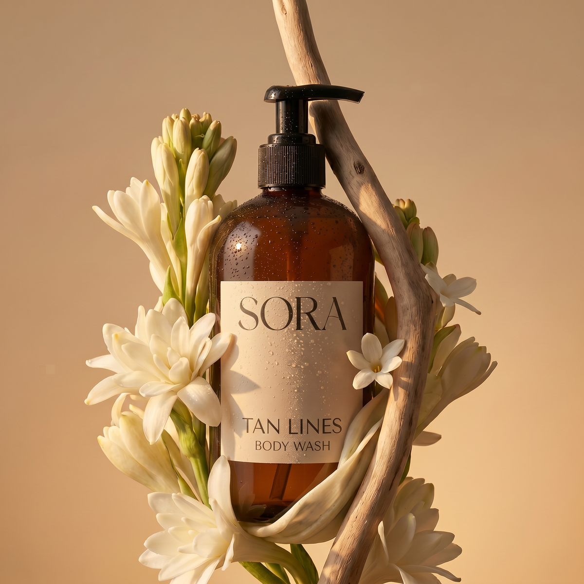 SORA Hawaii
